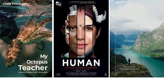 Destellos de lo humano.jpg