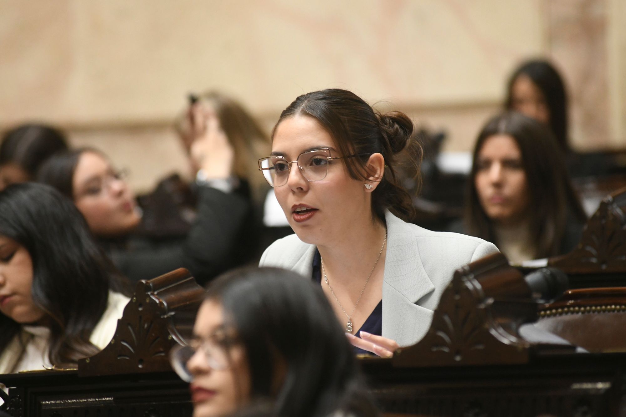 roles chica dos.jpg